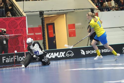 20240511 Fin SWEFIN 0316