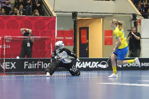 20240511 Fin SWEFIN 0317