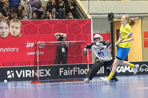 20240511 Fin SWEFIN 0318