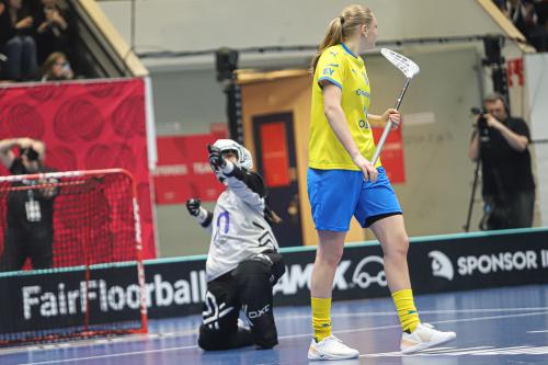 20240511 Fin SWEFIN 0319