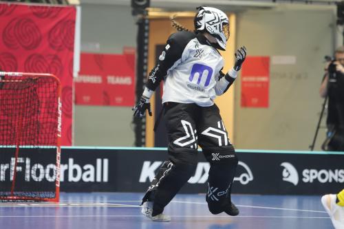 20240511 Fin SWEFIN 0321