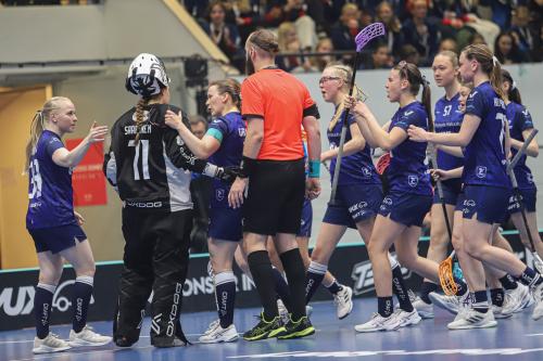 20240511 Fin SWEFIN 0324