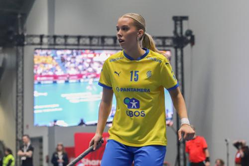 20240511 Fin SWEFIN 0333