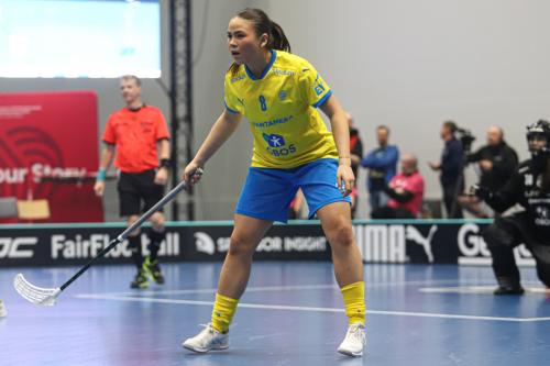 20240511 Fin SWEFIN 0339