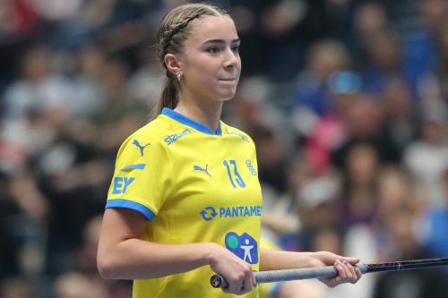 20240511 Fin SWEFIN 0347