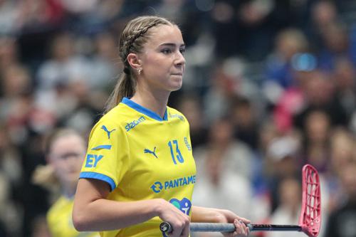 20240511 Fin SWEFIN 0348