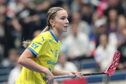 20240511 Fin SWEFIN 0349