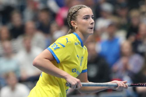 20240511 Fin SWEFIN 0350