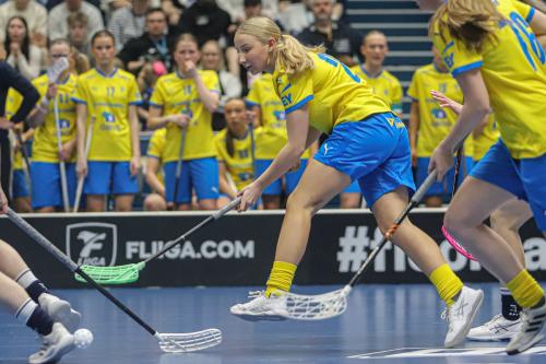 20240511 Fin SWEFIN 0353