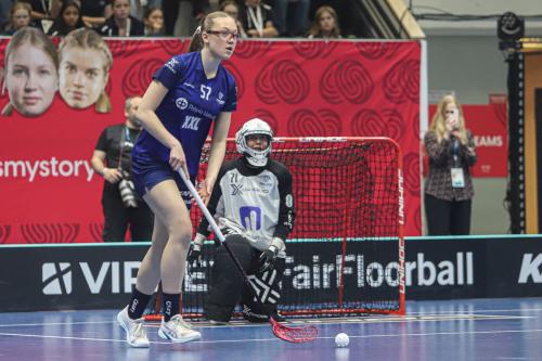 20240511 Fin SWEFIN 0355