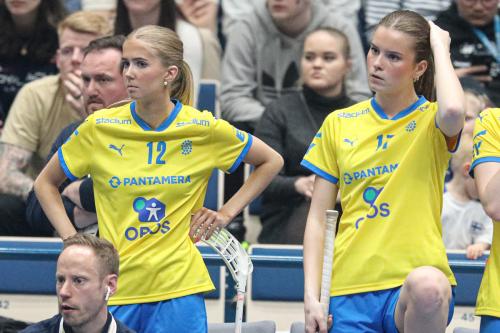 20240511 Fin SWEFIN 0357