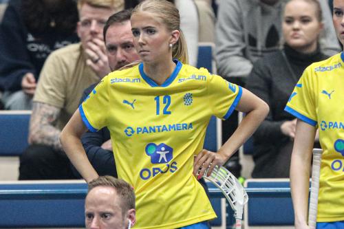 20240511 Fin SWEFIN 0358