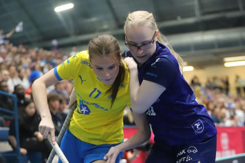 20240511 Fin SWEFIN 0365