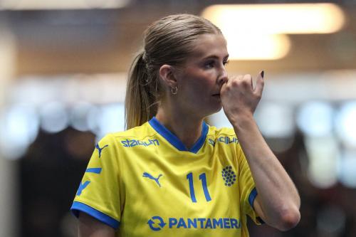 20240511 Fin SWEFIN 0374