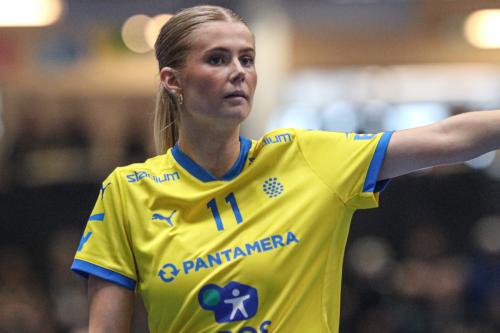 20240511 Fin SWEFIN 0375