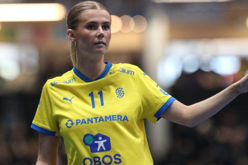 20240511 Fin SWEFIN 0376