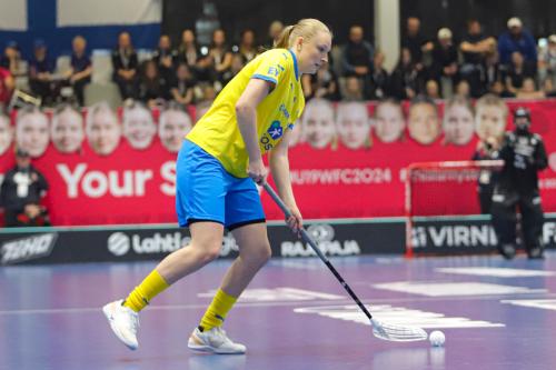 20240511 Fin SWEFIN 0379