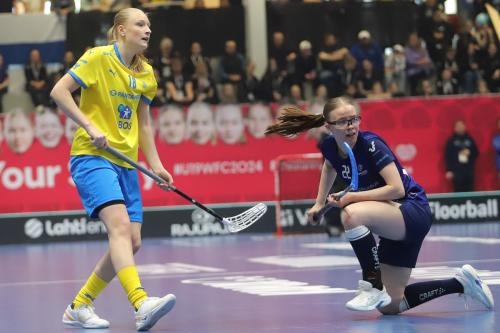 20240511 Fin SWEFIN 0381