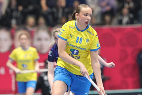 20240511 Fin SWEFIN 0400