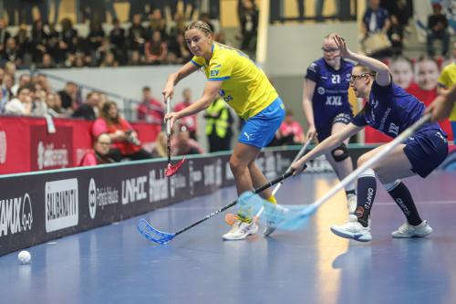 20240511 Fin SWEFIN 0403