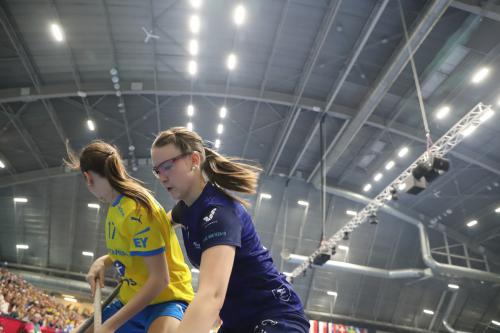 20240511 Fin SWEFIN 0410