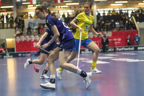 20240511 Fin SWEFIN 0413