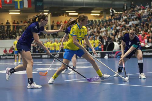 20240511 Fin SWEFIN 0414