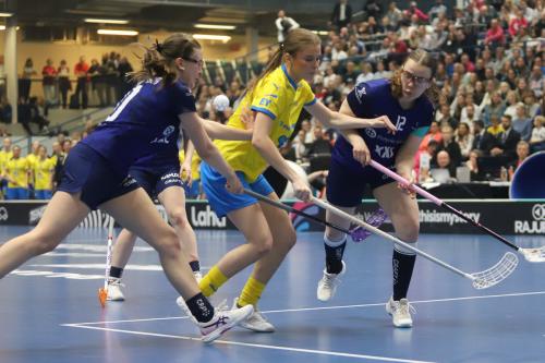 20240511 Fin SWEFIN 0415