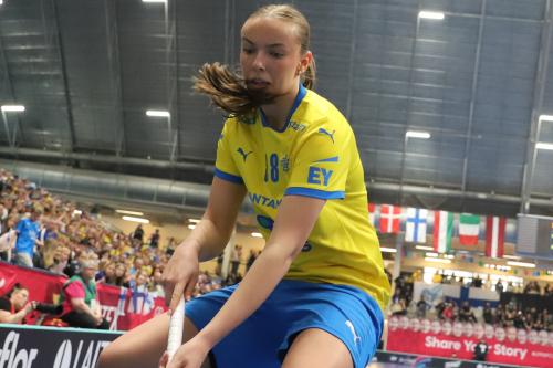 20240511 Fin SWEFIN 0418