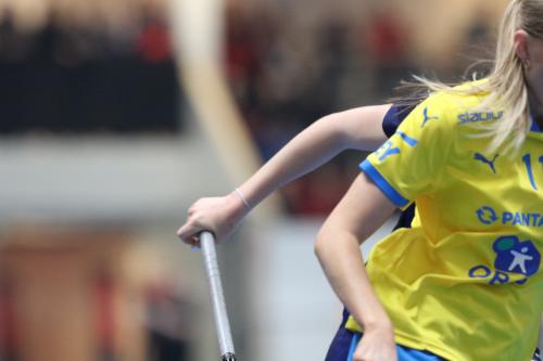 20240511 Fin SWEFIN 0427