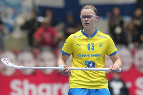 20240511 Fin SWEFIN 0430