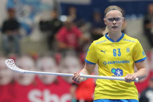 20240511 Fin SWEFIN 0431