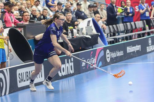 20240511 Fin SWEFIN 0452