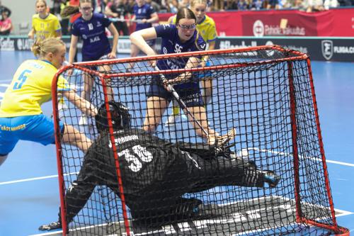 20240511 Fin SWEFIN 0458