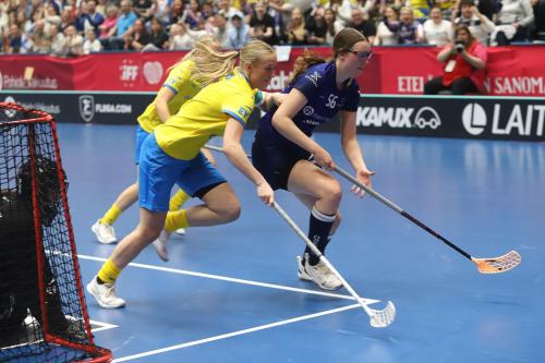 20240511 Fin SWEFIN 0461