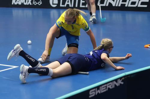 20240511 Fin SWEFIN 0470