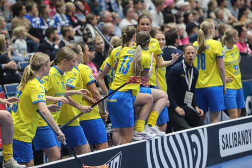 20240511 Fin SWEFIN 0477