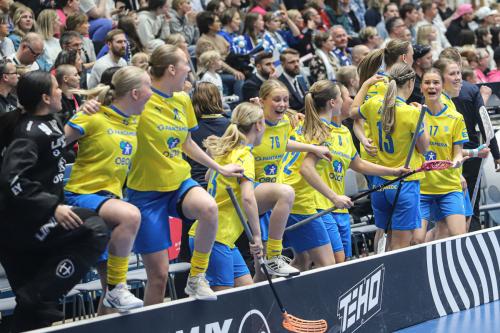 20240511 Fin SWEFIN 0478