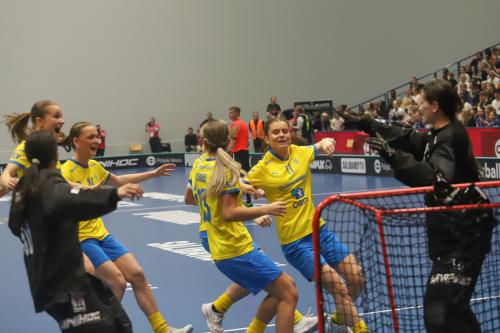 20240511 Fin SWEFIN 0481