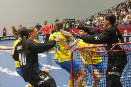 20240511 Fin SWEFIN 0482