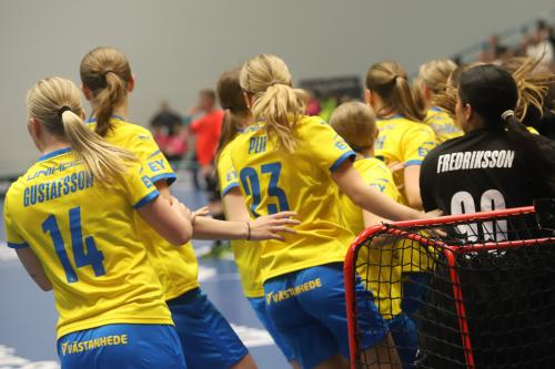 20240511 Fin SWEFIN 0483