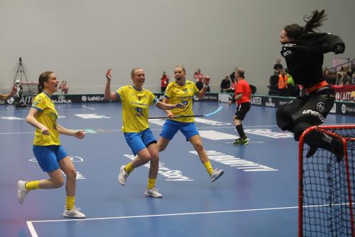 20240511 Fin SWEFIN 0484