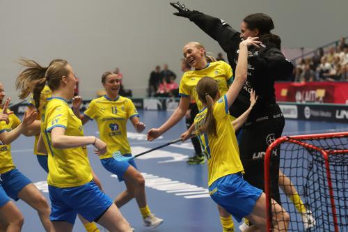 20240511 Fin SWEFIN 0486