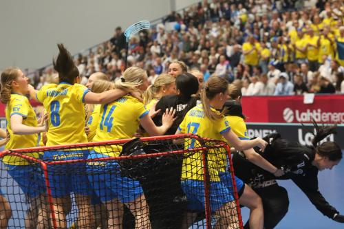 20240511 Fin SWEFIN 0488