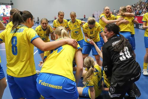 20240511 Fin SWEFIN 0495