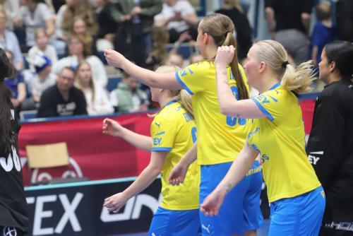 20240511 Fin SWEFIN 0507