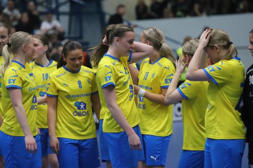 20240511 Fin SWEFIN 0511