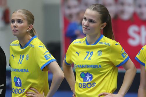 20240511 Fin SWEFIN 0520