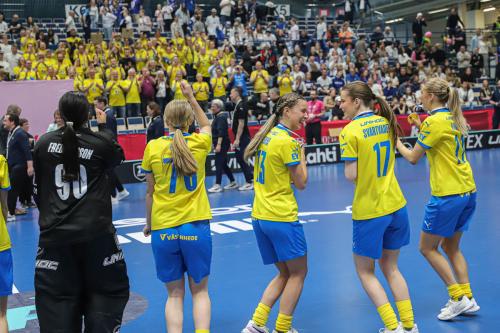 20240511 Fin SWEFIN 0574