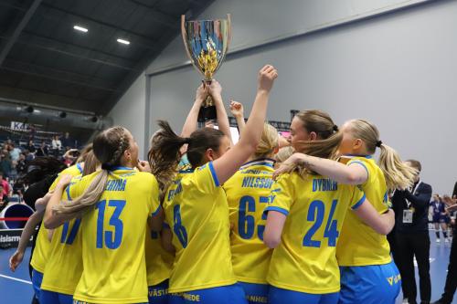 20240511 Fin SWEFIN 0593